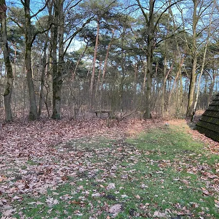 Boszicht Сasa de vacaciones *