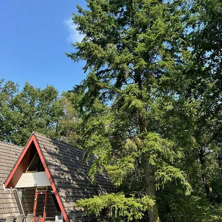 Boszicht Holiday home *