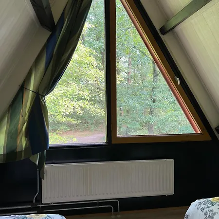 Boszicht *