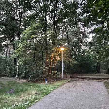Boszicht *