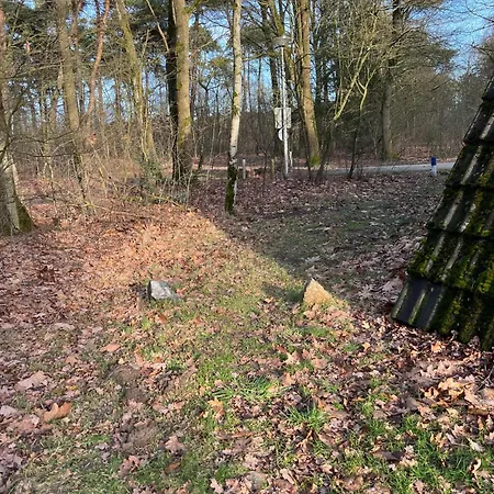 Boszicht Holiday home